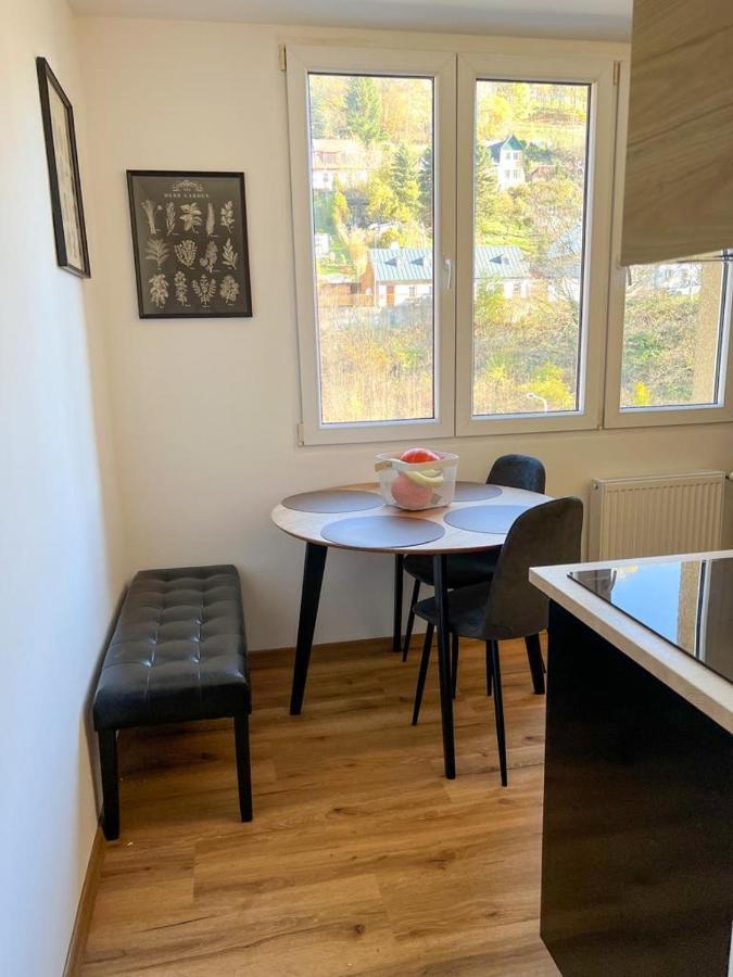 Apartman Visek Jáchymov Eksteriør bilde