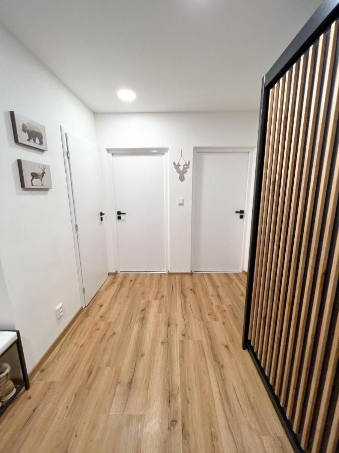 Apartman Visek Jáchymov Eksteriør bilde