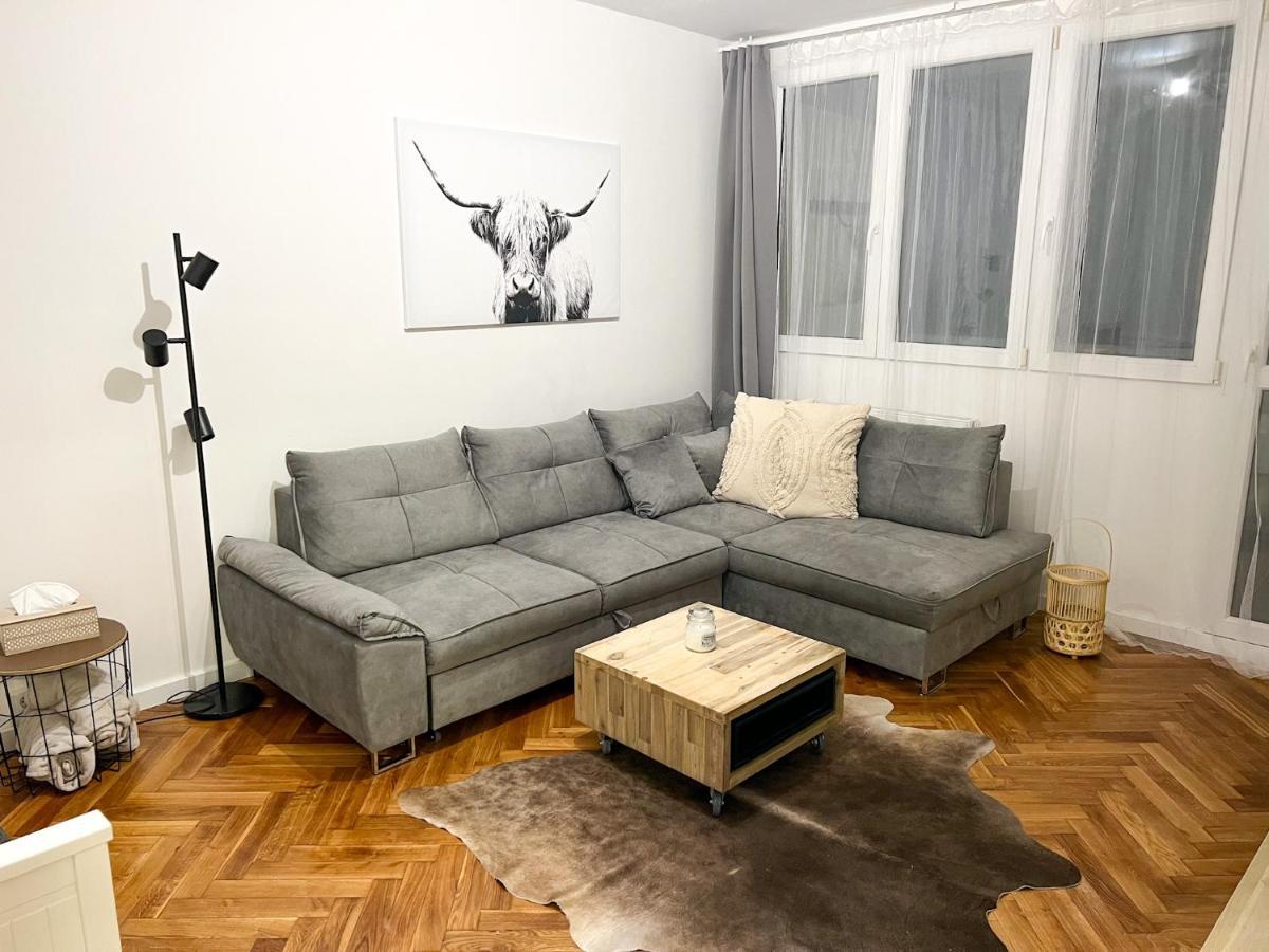 Apartman Visek Jáchymov Eksteriør bilde